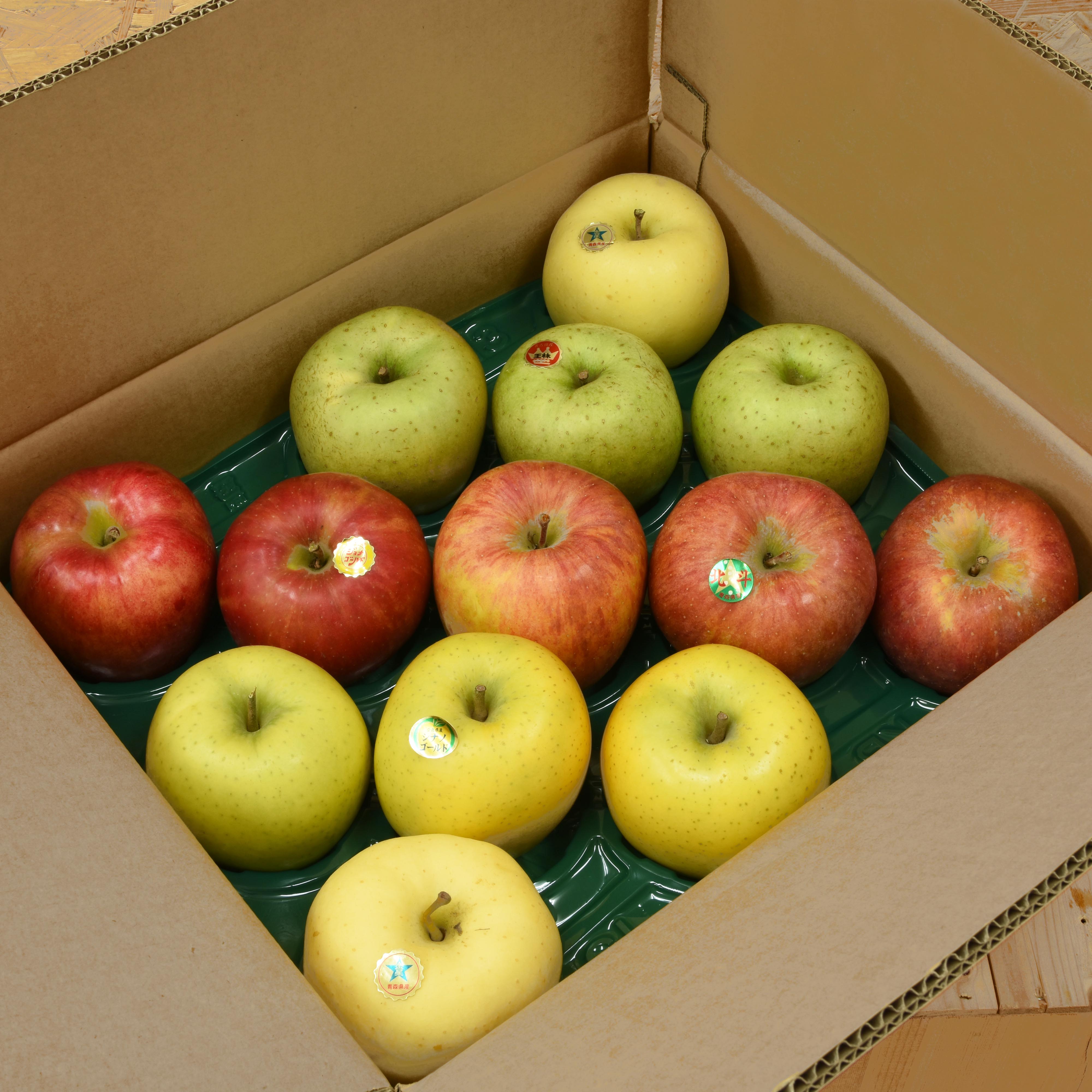 佐藤果樹園 りんご直送便 季節のりんご詰め合わせ 家庭用 5kg